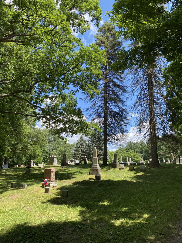 Dryden - July 11 2021 Photo (newer photo)